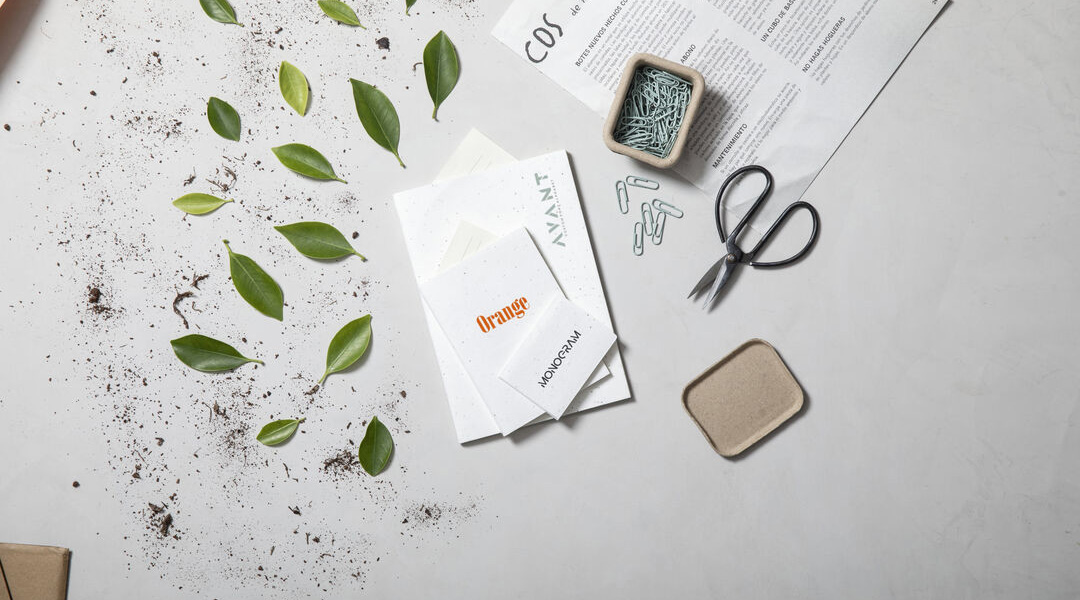 Blocos de Notas de Sementes