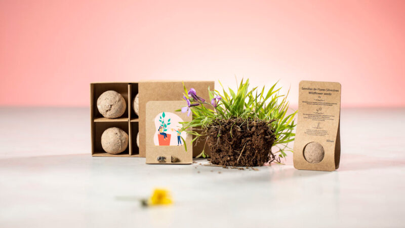 brindes ecologicos sementes